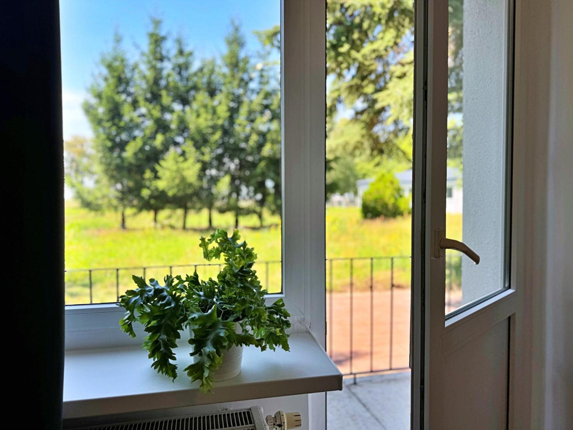 Apartamenty Lotnisko Leszno Leszno  Exterior foto